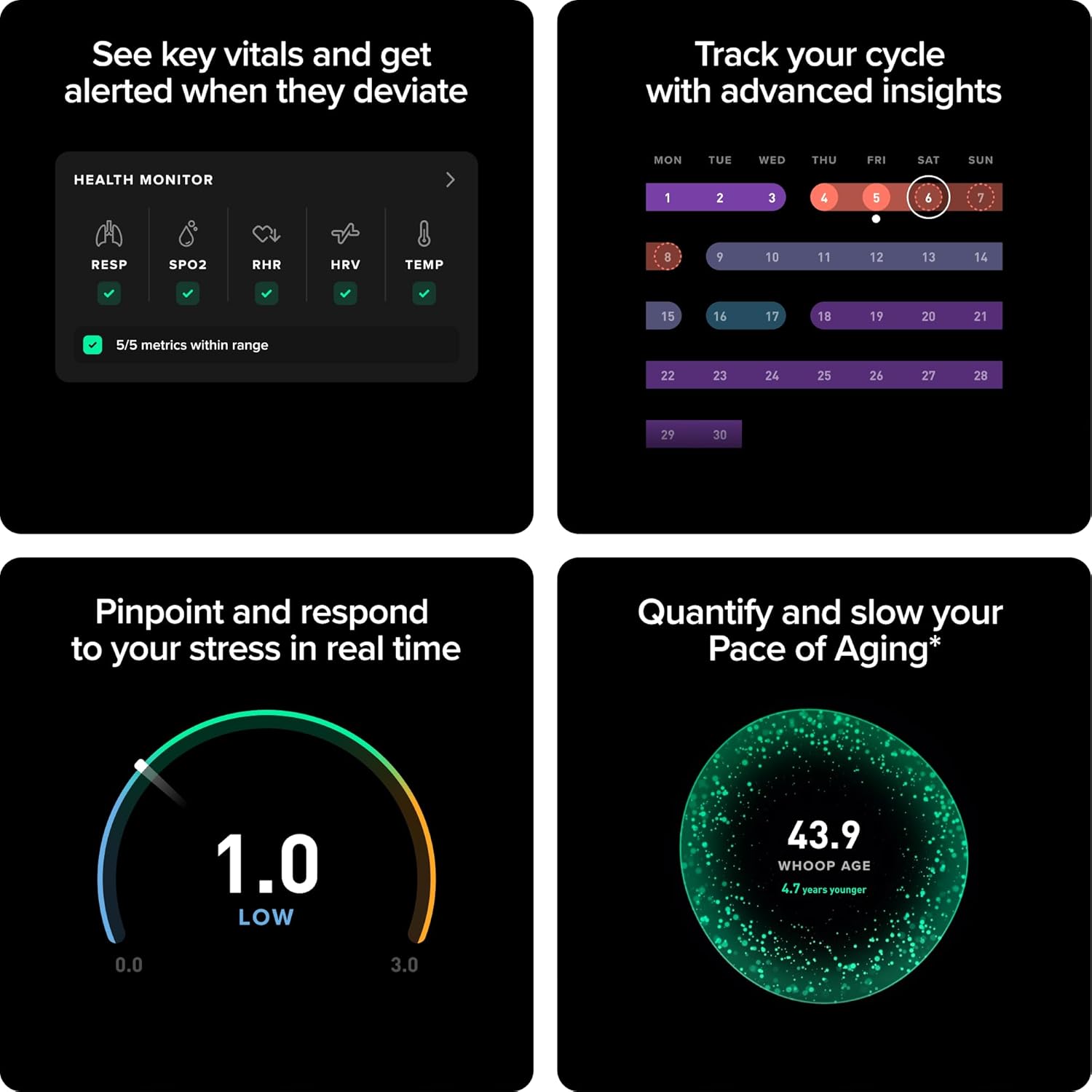 WHOOP 5.0 Health and Fitness Wearable - Image 8